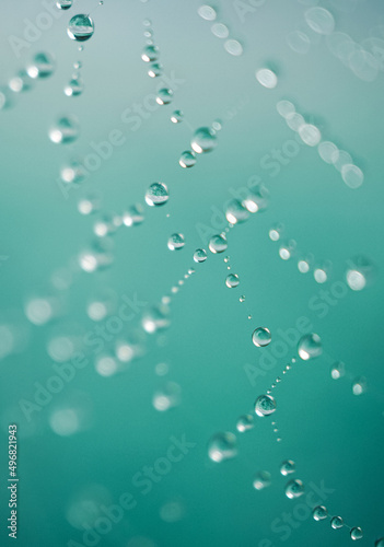 raindrops on the spider web in rainy days, abstract backgrounds