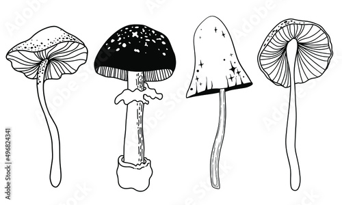 Vector line drawing. Set of vector magic mushrooms