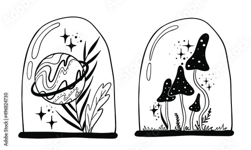 Vector line drawing. Mushrooms under a glass cap.