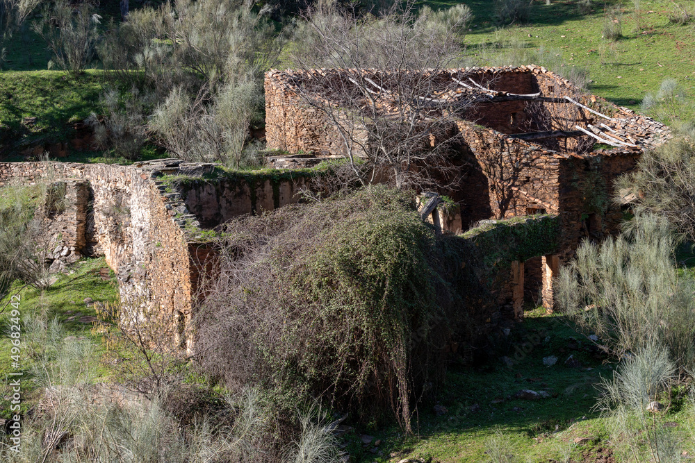 Old abandoned mill in extremadura meadow