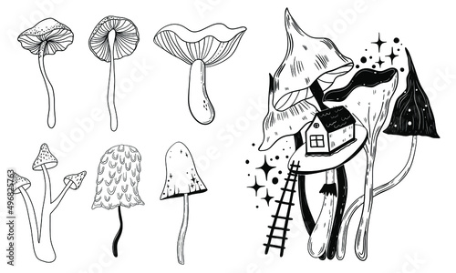 Vector line drawing. House with mushrooms. Coloring book with fairy town - houses on mushrooms. Vector illustration.