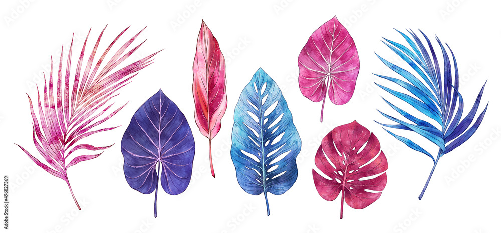 Watercolor tropical jungle leaves isolated on white background. Hand painted watercolor. Botanical hand drawn illustration for wedding invitations, prints. Palm leaf, monstera 