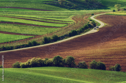 Rural landscape with road