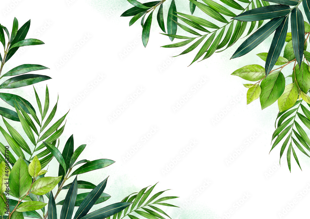 Watercolor background of tropical green plants. Vintage green.  Botanical hand drawn illustration. Highly detailed plant template. Palm leaves. Exotic. 