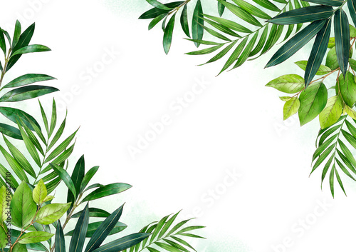 Watercolor background of tropical green plants. Vintage green.  Botanical hand drawn illustration. Highly detailed plant template. Palm leaves. Exotic. 