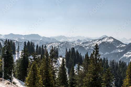 Beautiful and picturesque snowy mountains in the background, pine forest in front. © andov