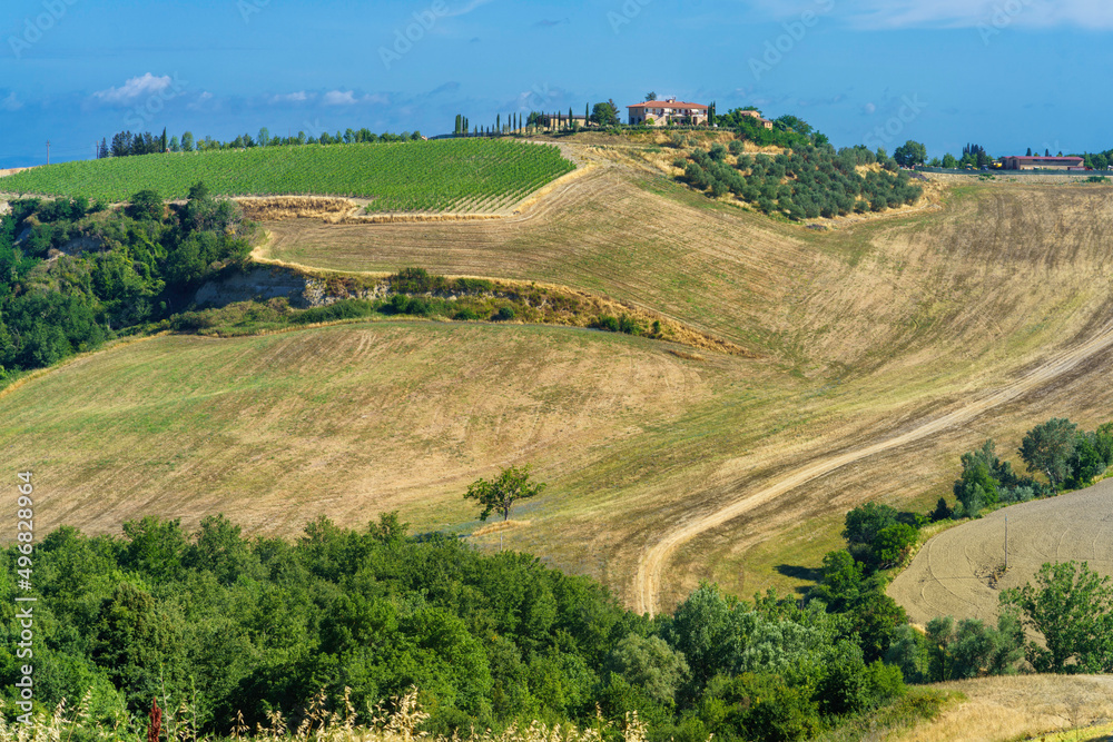 Rural landscape near Buonconvento, Tuscany, Italy
