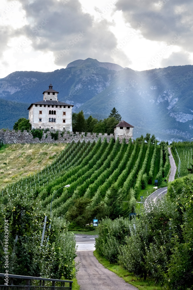 The Nanno castle and the apple trees of the Non valley. Ville d'Anaunia, Trento province, Trentino Alto-Adige, Italy, Europe.