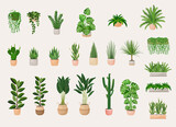 Collection of indoor plants in pots for decorating the interior. Set of vector illustrations of home flowers. Trendy home decor with plants, urban jungle.