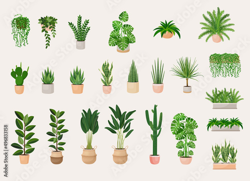Collection of indoor plants in pots for decorating the interior. Set of vector illustrations of home flowers. Trendy home decor with plants, urban jungle.