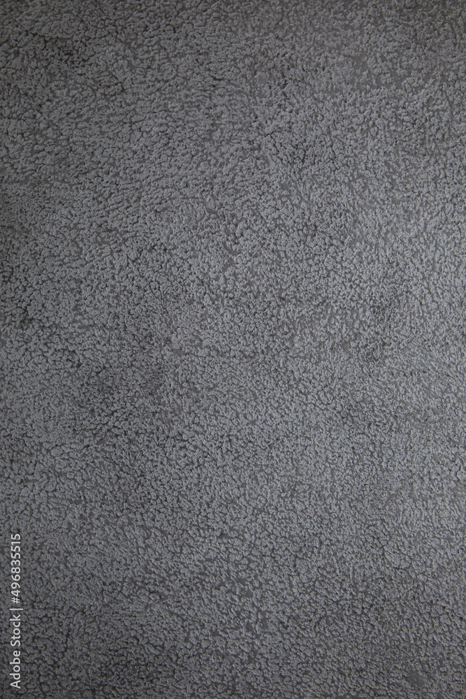 Fototapeta premium Gray concrete texture or background. With place for text and image