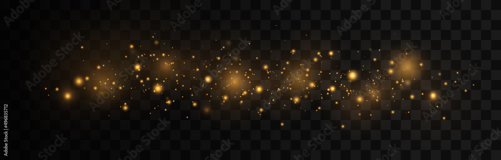 Sparkling magical dust particles. The dust sparks and golden stars shine with special light on a black background. Christmas concept. Sparkling magical dust particles. The dust sparks and golden stars shine with special light on a black background. Christmas concept.