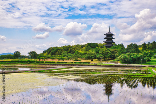 美しい初夏の田園風景｜備中国分寺