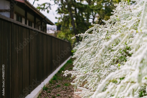 wooden fence