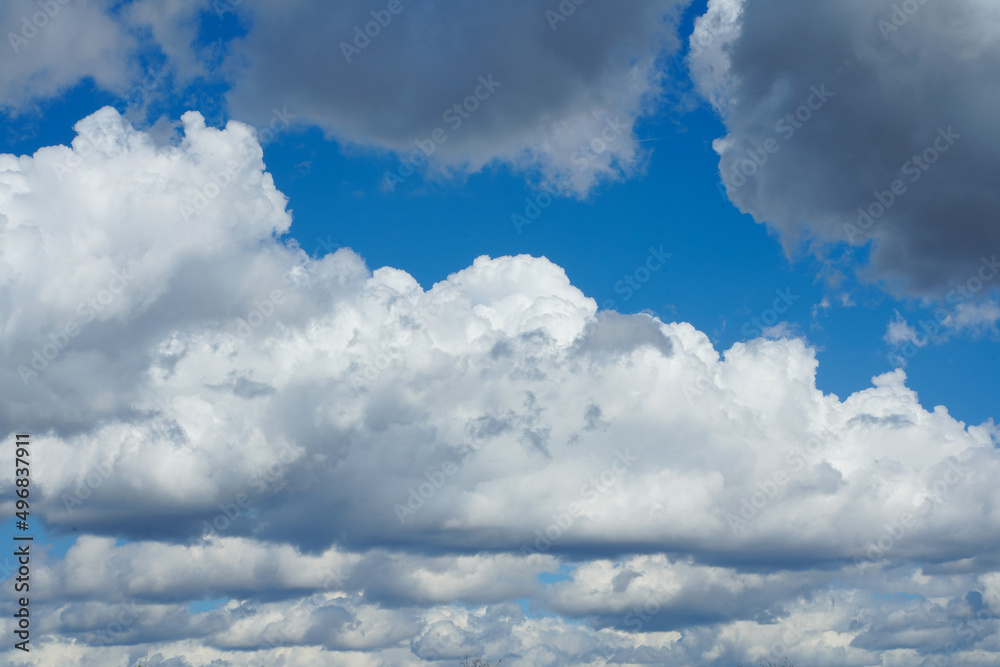 Fototapeta premium prominent clouds with blue background. photo during the day.