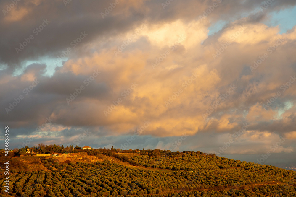 Heavy dramatic clouds illuminated by the sunset field hang over the hills planted with olive trees. Beautiful european country landscape. Ubeda, Spain.