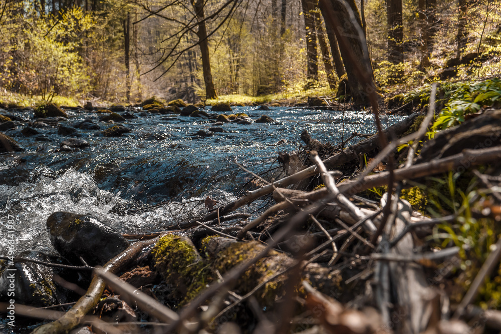 Bielatal in der Sächsischen Schweiz - Biela im Frühling Bielatal in der Sächsischen Schweiz - Biela im Frühling