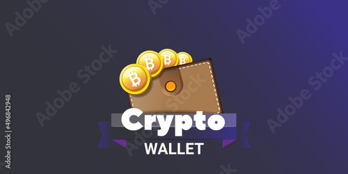 Cryptocurrency wallet concept illustration with wallet and crypto coins isolated on grey background. Crypto wallet landing page and poster design template. Crypto wallet for bitcoin, solana, ethereum