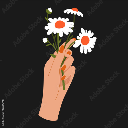 Hand holding chamomile. Beautiful illustration for cards.