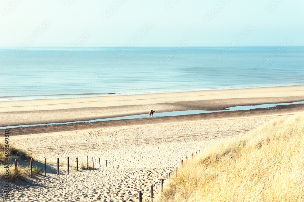 Beautiful seacoast with sandy dunes in Noordwijk, Netherlands. Summer landscape