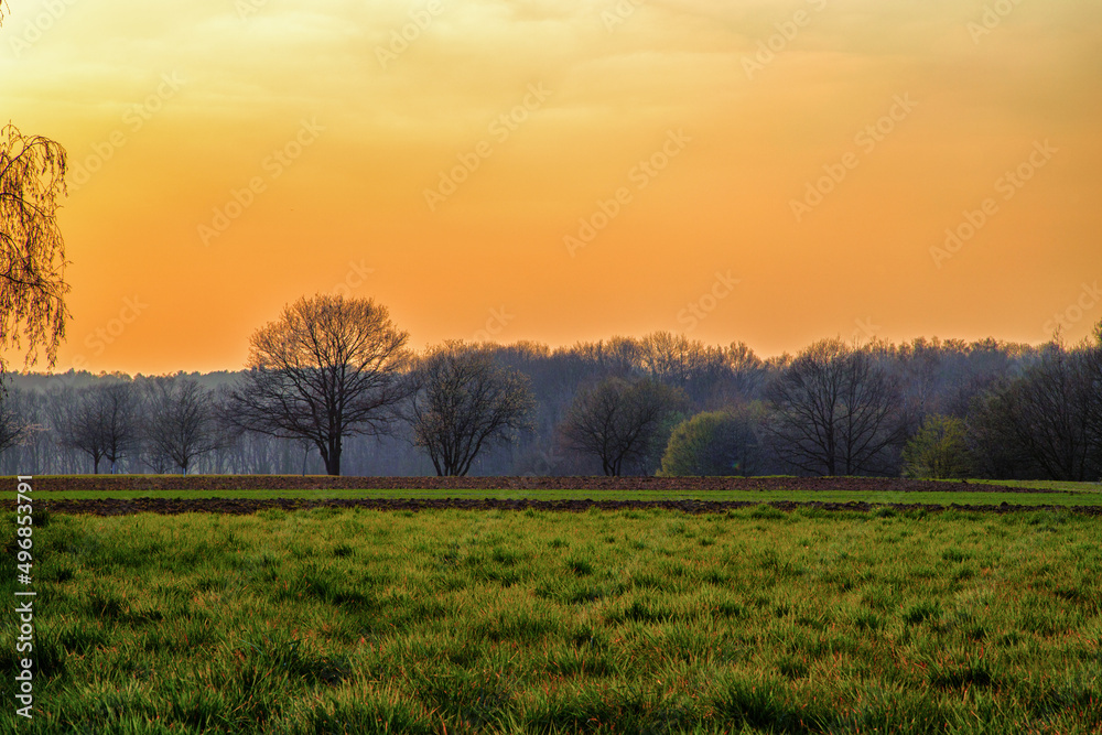 beautiful sunset landscape with fields and trees