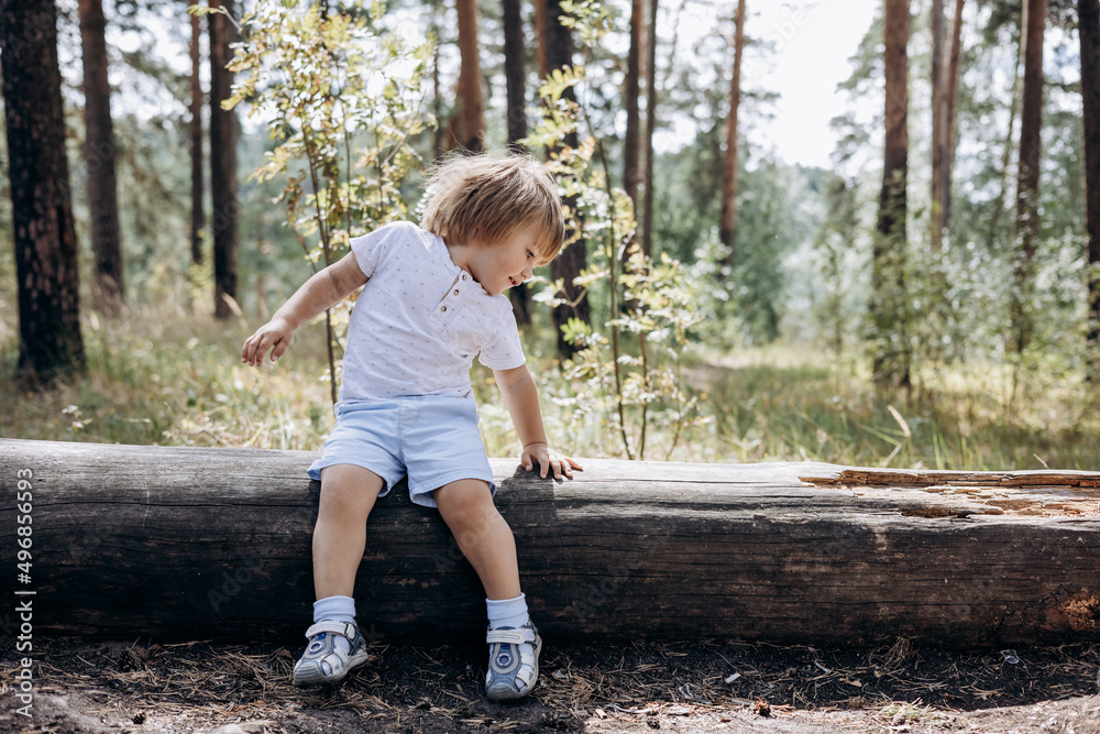 Happy cute toddler boy in t-shirt and shorts walking along path in summer park. Little kid sitting on log in pine forest. Hyper-local travel concept. Active lifestyle. Child having fun in green woods. Happy cute toddler boy in t-shirt and shorts walking along path in summer park. Little kid sitting on log in pine forest. Hyper-local travel concept. Active lifestyle. Child having fun in green woods.