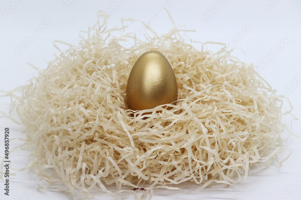 Beautiful golden egg in the nest Beautiful golden egg in the nest