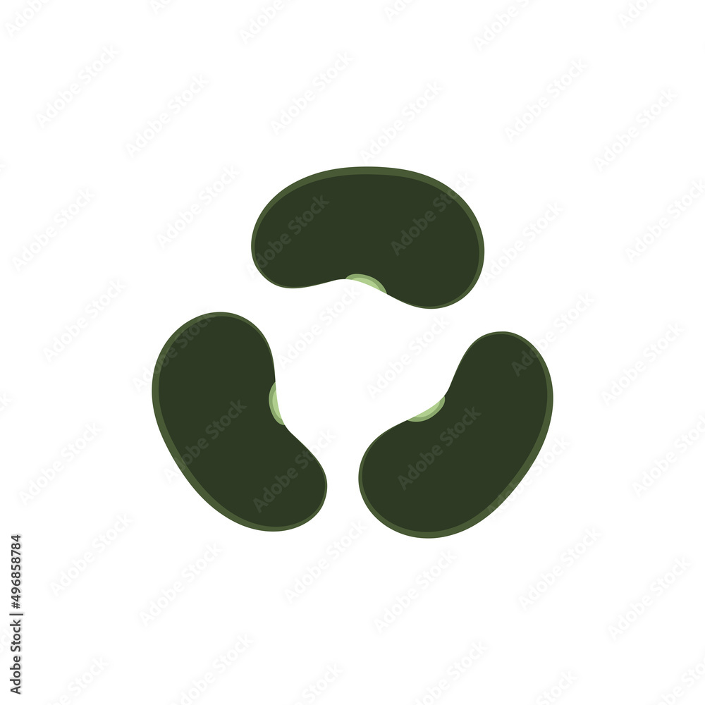 Mung Bean vector. Mung Bean on white background. Mung Bean vector. Mung Bean on white background.