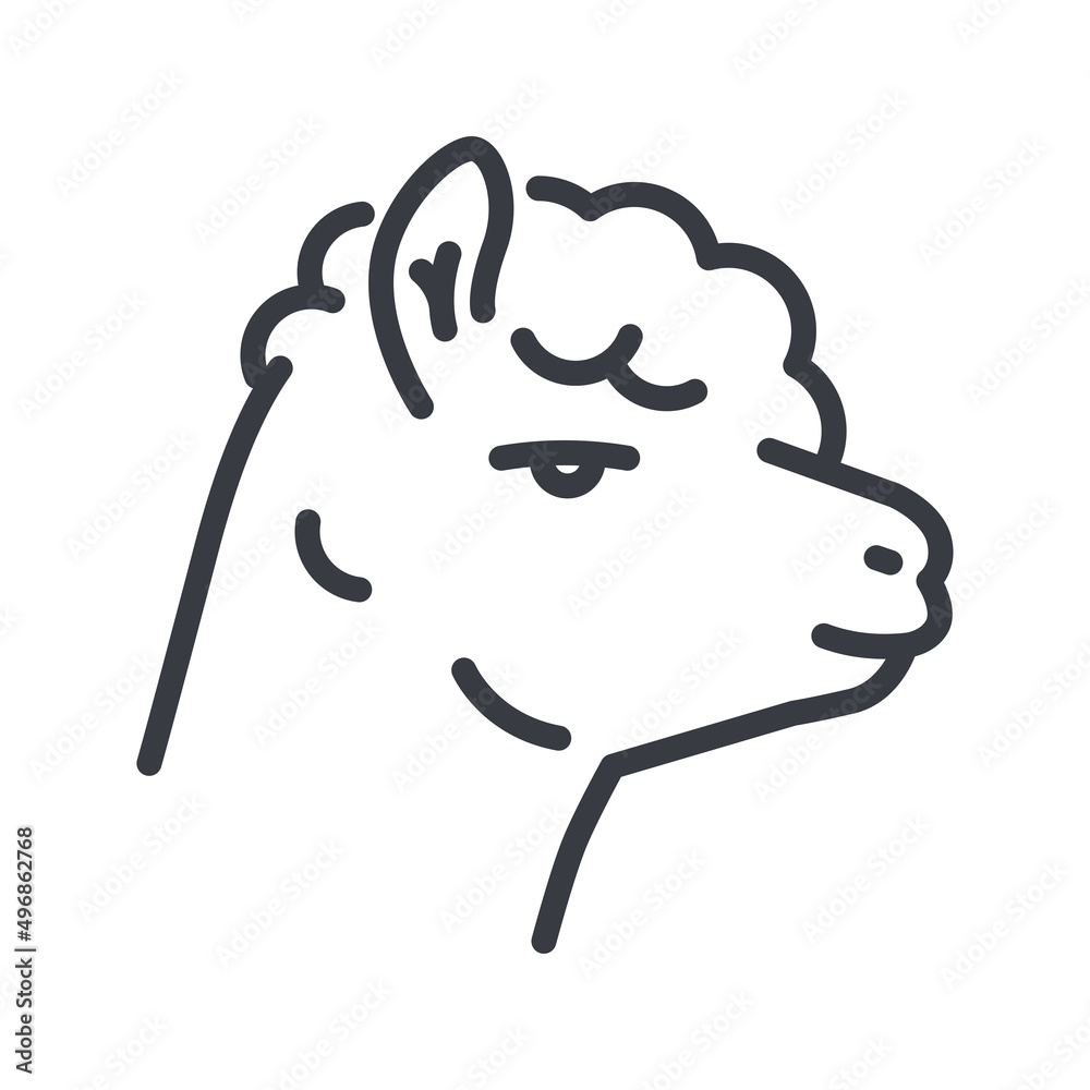 Vector llama line icon isolated on transparent background. Vector llama line icon isolated on transparent background.