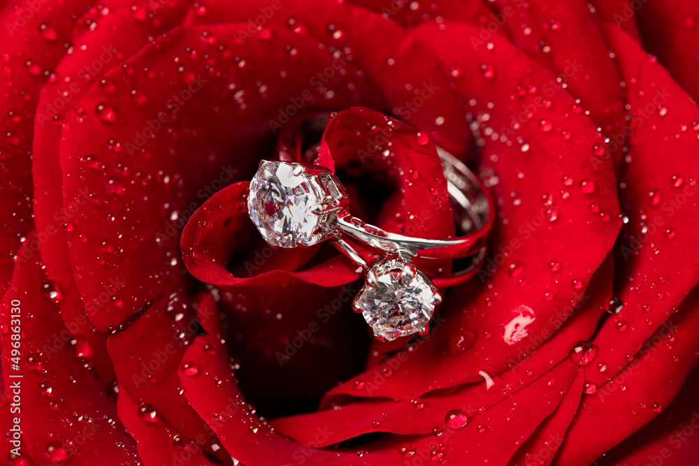 Closeup of the engagement diamond rings in the heart of a fresh red rose with dew - obrazy, fototapety, plakaty 