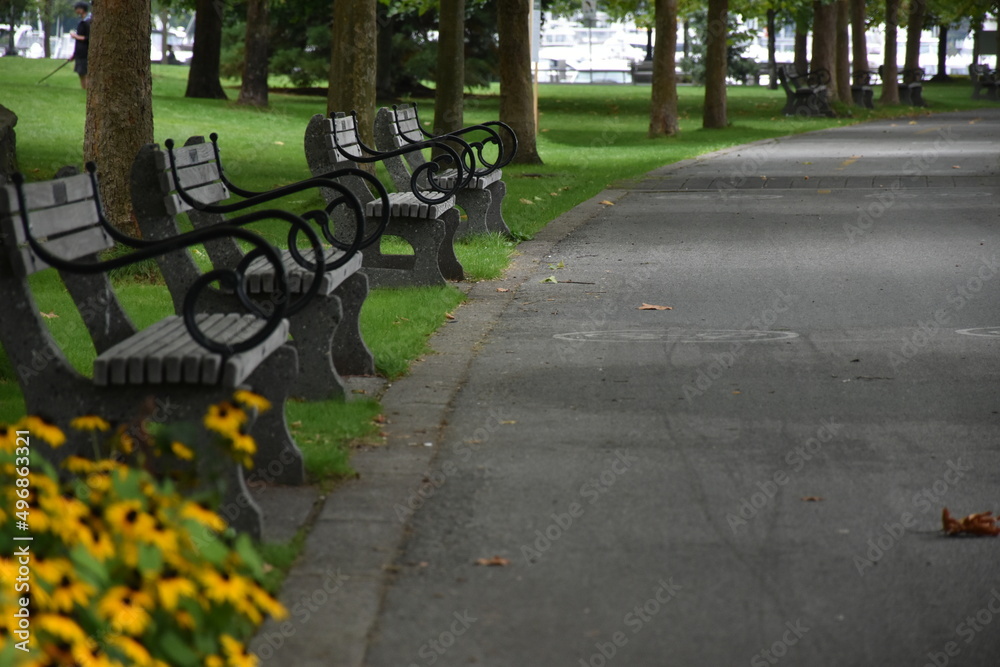 Benches in a park, Vancouver, British Columbia, Canada
