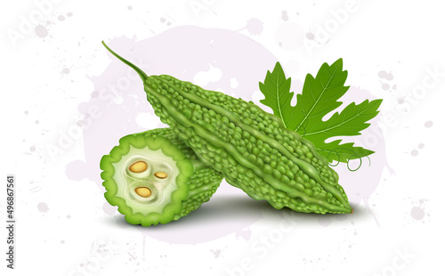 Vector illustration of a Bittergourd with half piece of bitter gourd vegetable