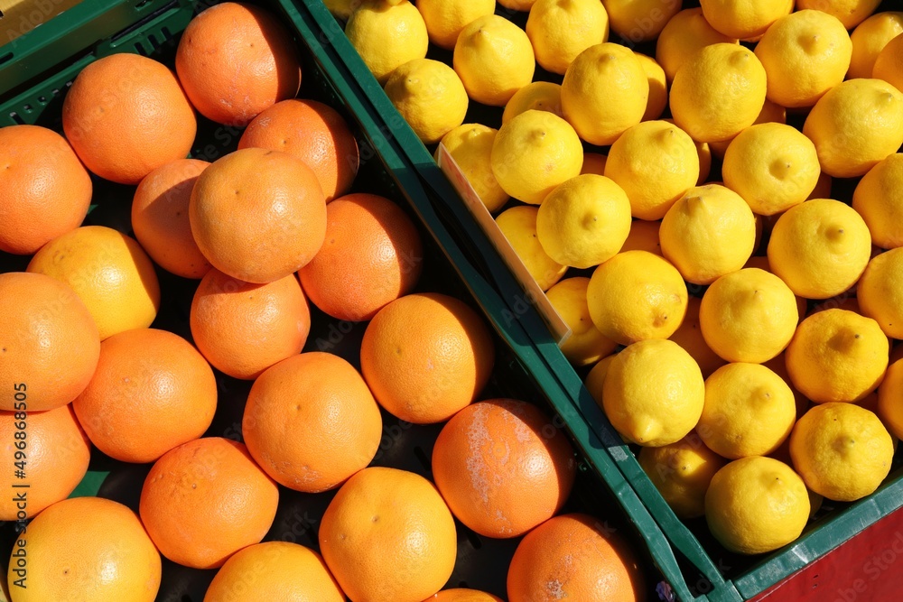 Citrus fruits at a market