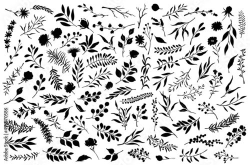 floral leafy branches flowers silhouette collection, isolated vector illustration set