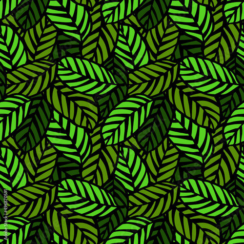 calathea plant foliage seamless pattern