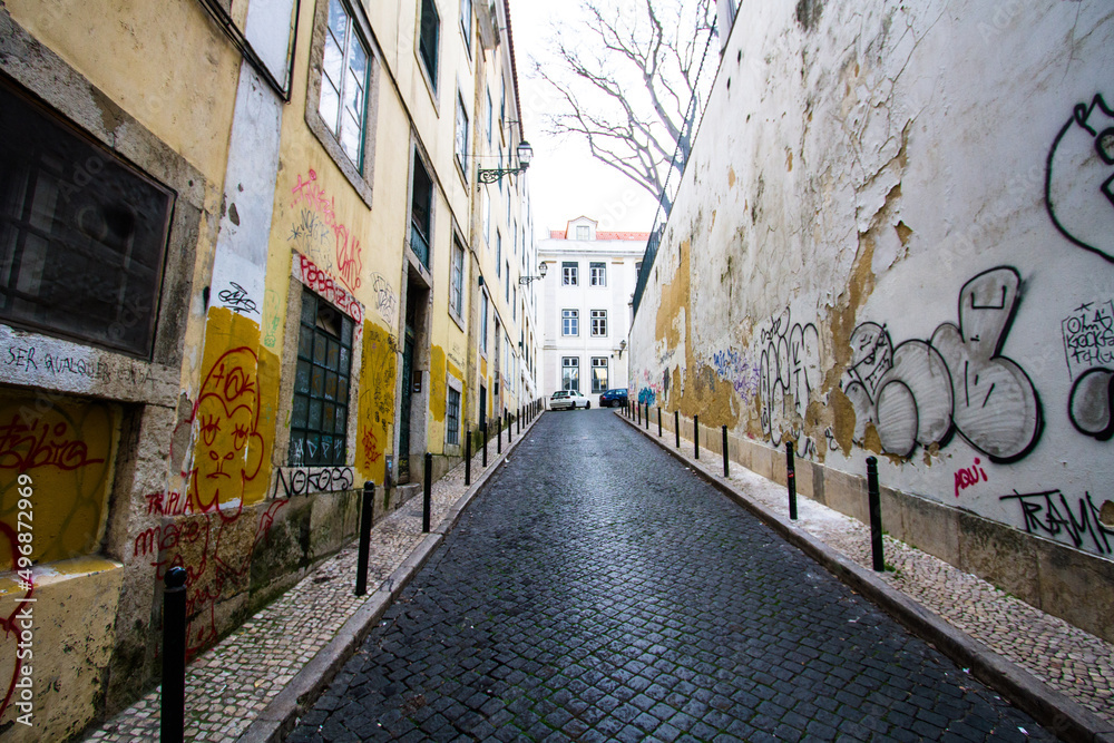 Fototapeta premium caminhos