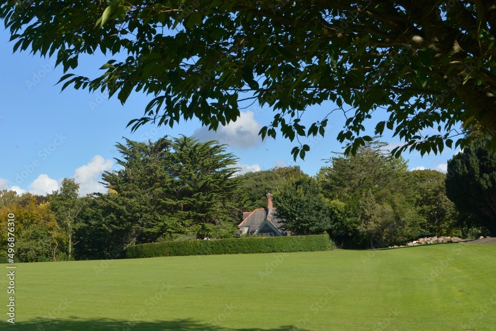 Fototapeta premium church in the park