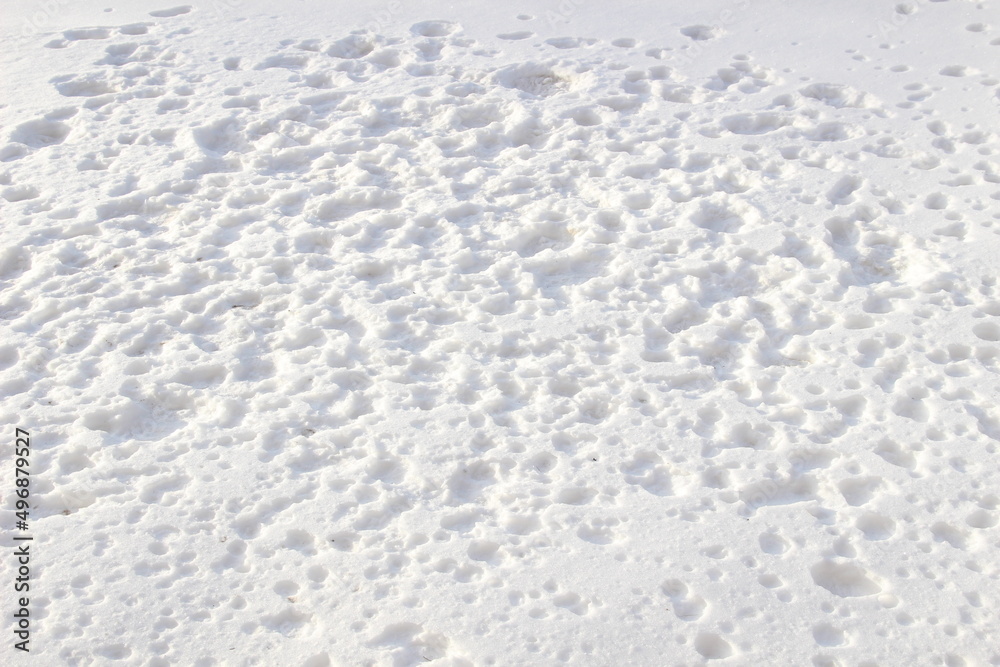 White textured background of snow White textured background of snow