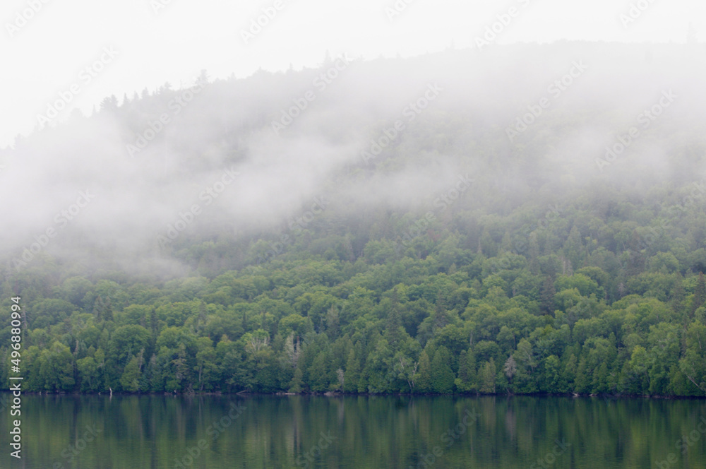 heavy fog in forest with still water with copy space
