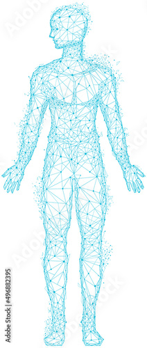 Human body with head and limbs low poly geometric. Outline of man made of blue lines and dots. Polygonal human profile modern 3D volumetric image. Body silhouette isolated on white background