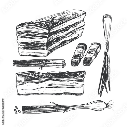 lard, meat, tenderloin, jamon, onion, isolated elements fat, meat, tenderloin, jamon, onion, graphic drawing with hands by a dark outline on a white background, isolated cooking elements, menu design