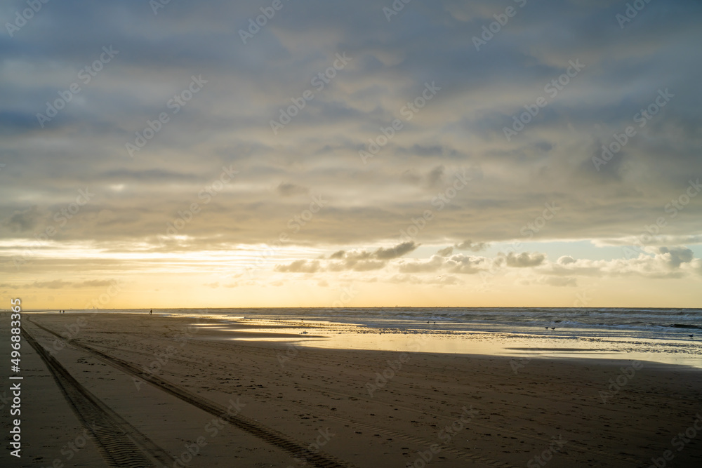 Coast of North sea with car traces on the beach

