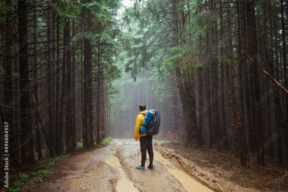 Fototapeta premium Male hiker in rainy weather standing on the road in the mountains in the middle of the forest on a background of foggy views, rear view. Mountain trip