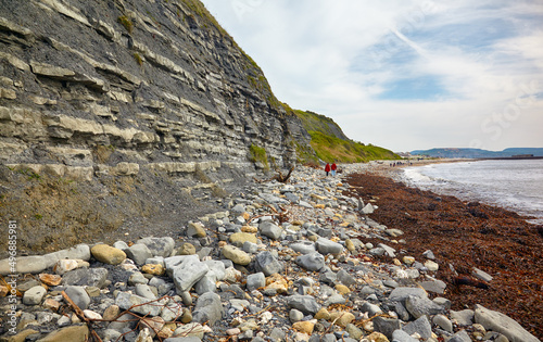 The Blue Lias of the Chippel Bay. West Dorset. England photo