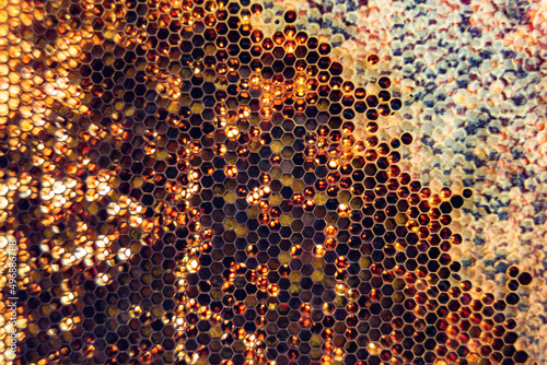 Honeycomb from bee hive filled with golden honey © oleg525