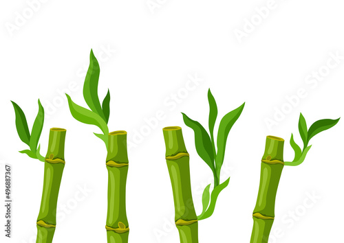 Fototapeta Naklejka Na Ścianę i Meble -  Illustration of green bamboo stems and leaves. Decorative exotic plants of tropic jungle.
