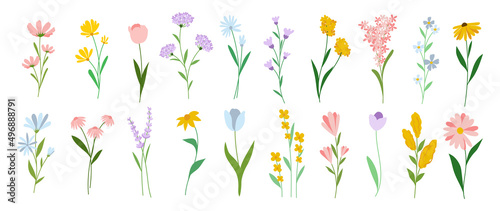 Collection of floral and botanical elements. Set of leaf, foliage wildflowers, plants, bloom, leaves and herb. Hand drawn of blossom spring season vectors for decor, website, wedding card and shop.