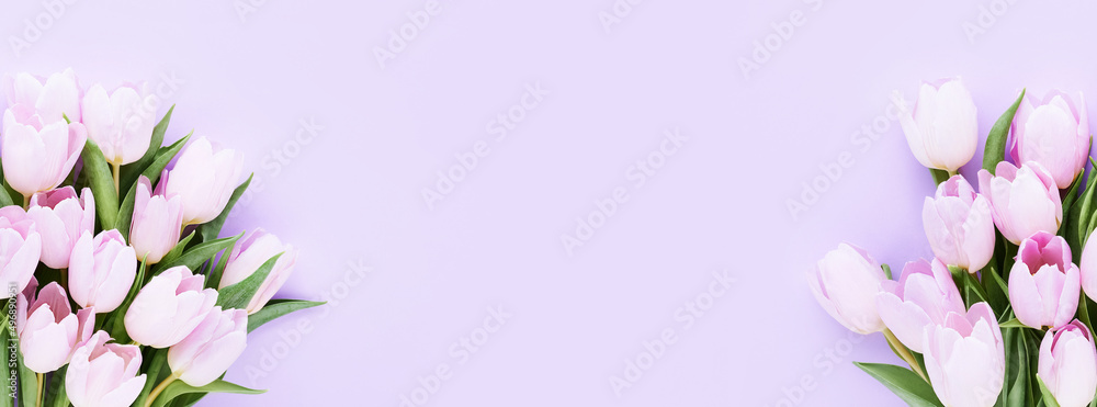 Bouquets of lilac tulips on lilac background. Mother's day, Valentines Day, Birthday concept. Banner