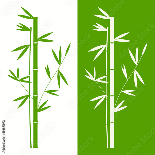 An illustration of mirrored bamboo. Vector
