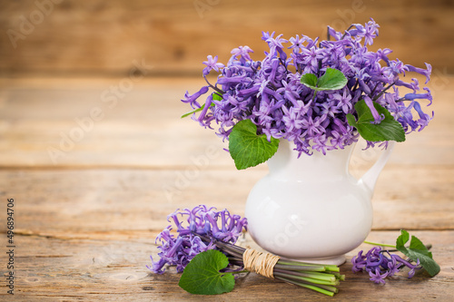 Hyacinth flowers in the pot on the wooden table